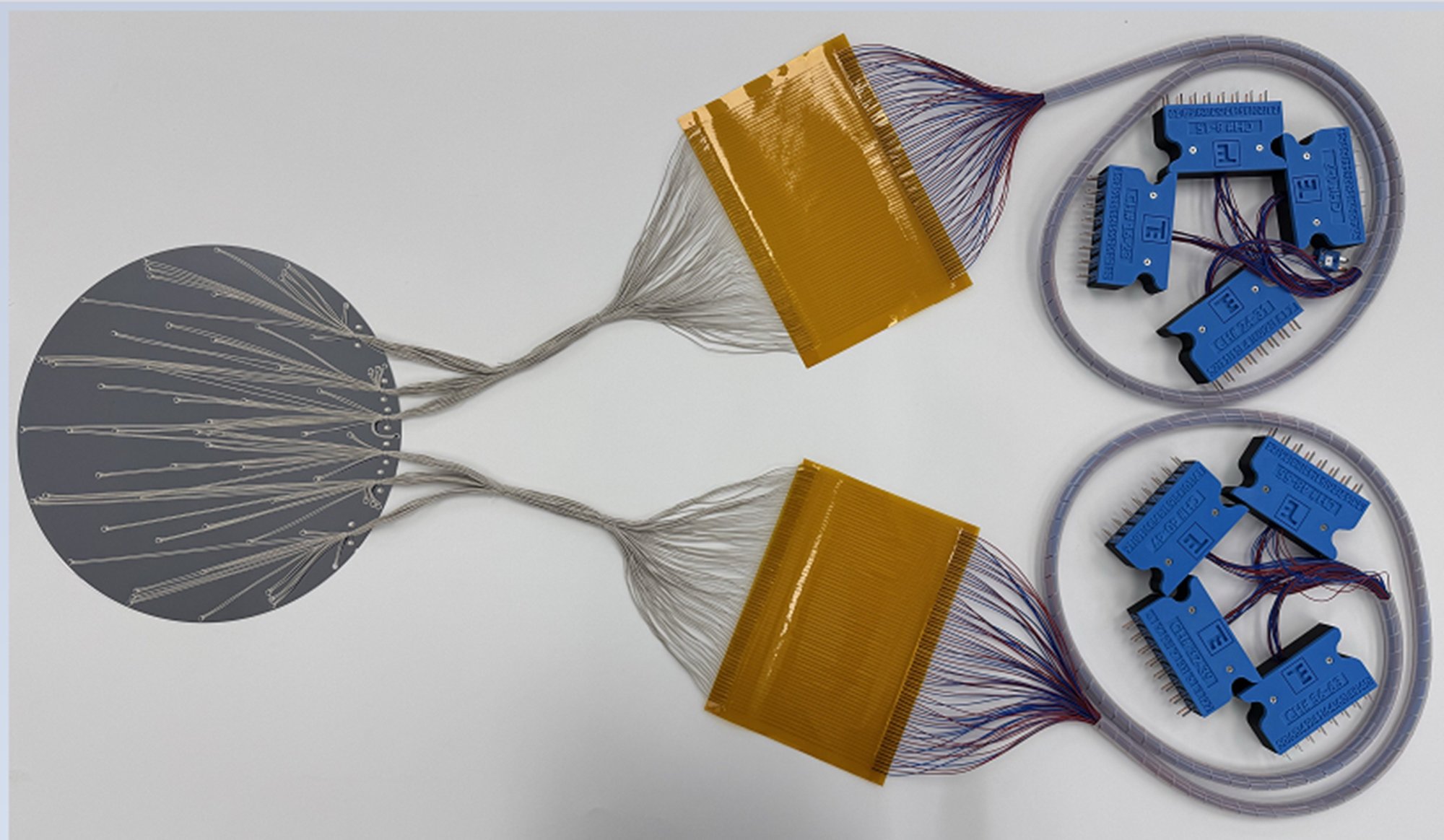 65 pt Wafer